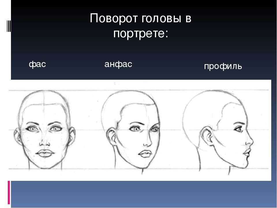 Обязательный профиль. Анфас и профиль. Поворот головы в портрете. Пофороты голы в портрете. Портрет профиль и анфас.